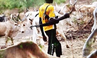 fulani-herdsmen-1