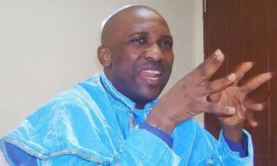 primate-ayodele