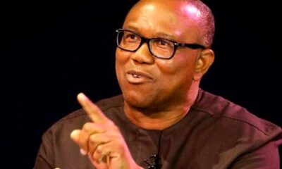 obi-e1649265475899-768x426